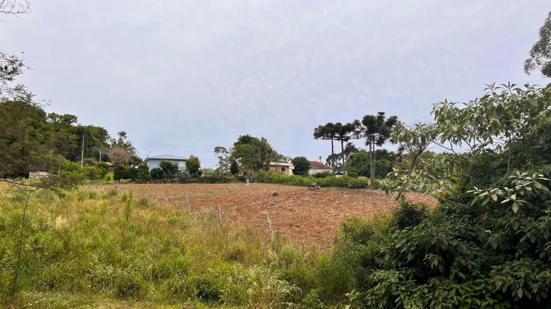 Banner Página