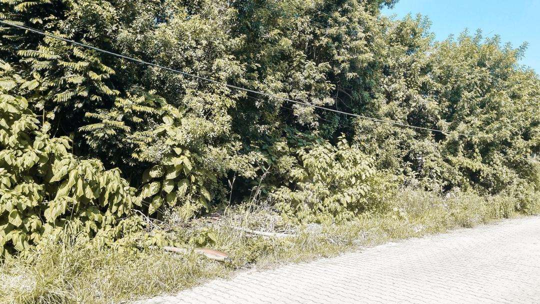 Banner Página