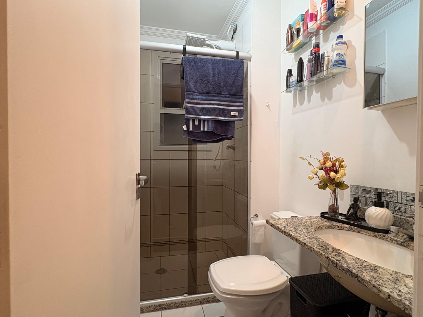 Apartamento, 3 quartos, 72 m² - Foto 19