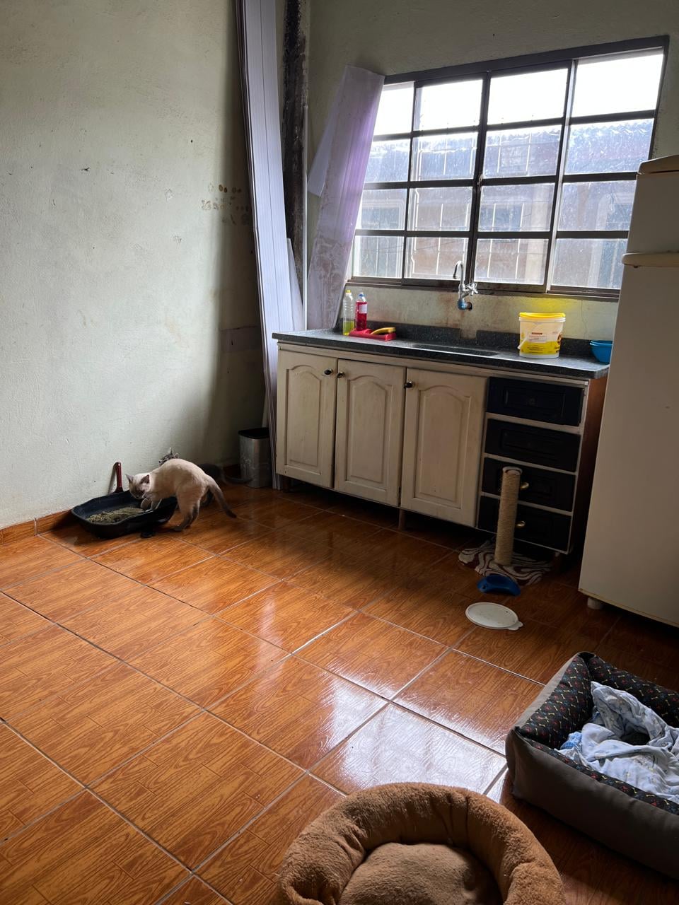 Casa, 3 quartos, 300 m² - Foto 13