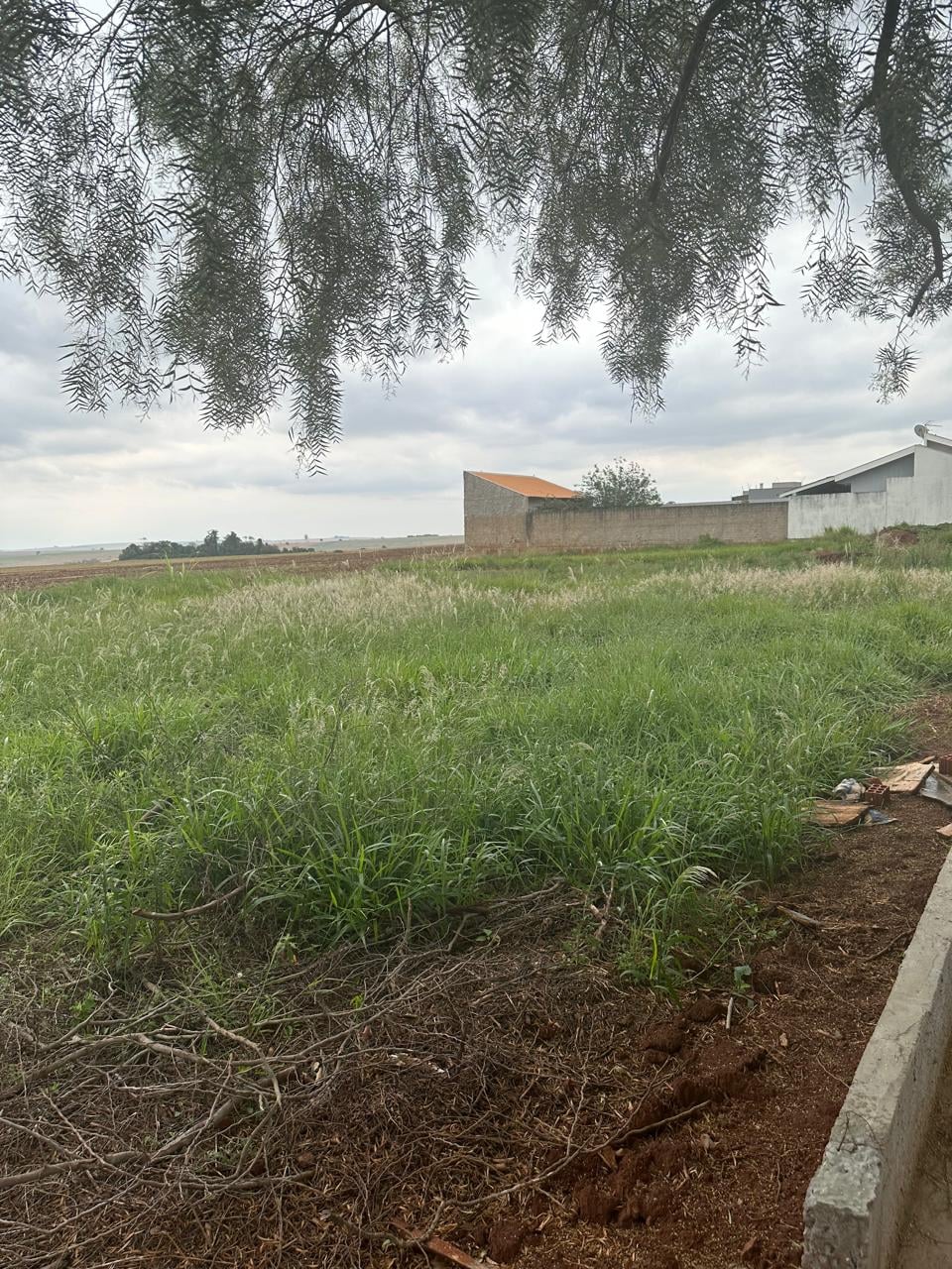Terreno, 250 m² - Foto 5