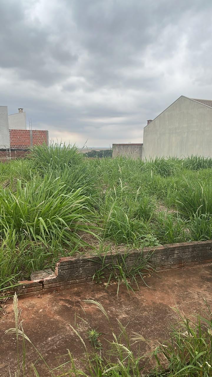 Terreno, 300 m² - Foto 2