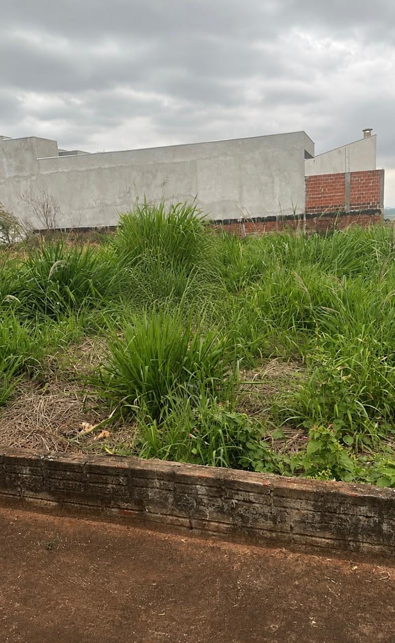 Terreno, 300 m² - Foto 2