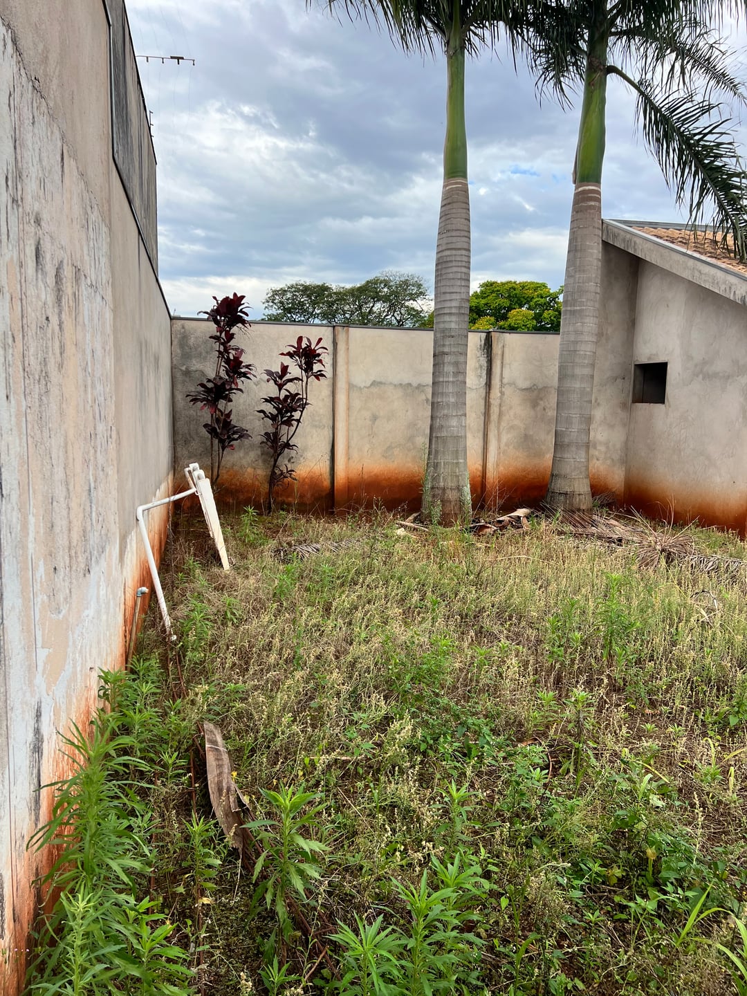 Casa, 4 quartos, 400 m² - Foto 12