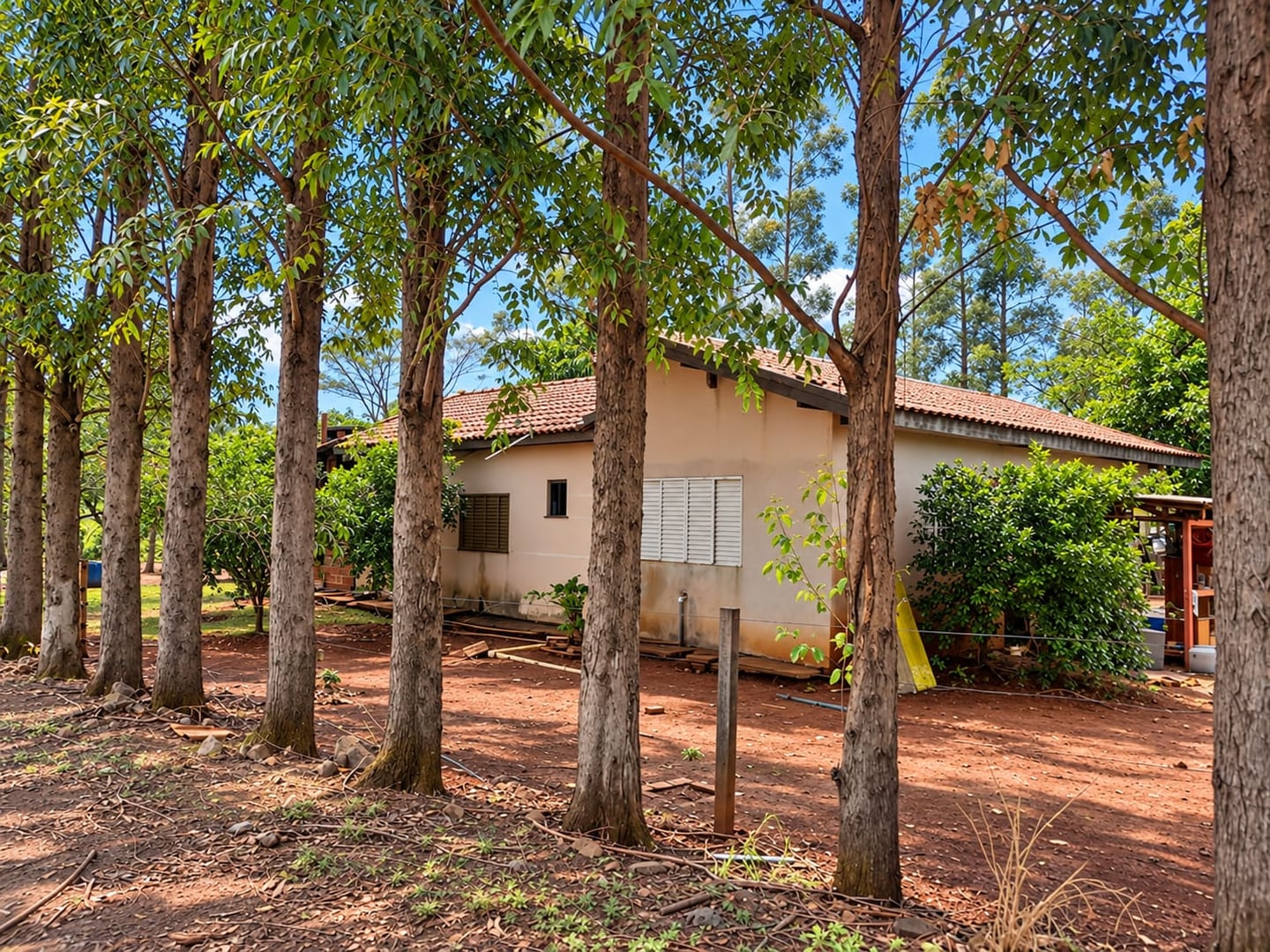 Sítio, 3 quartos, 8000 m² - Foto 4