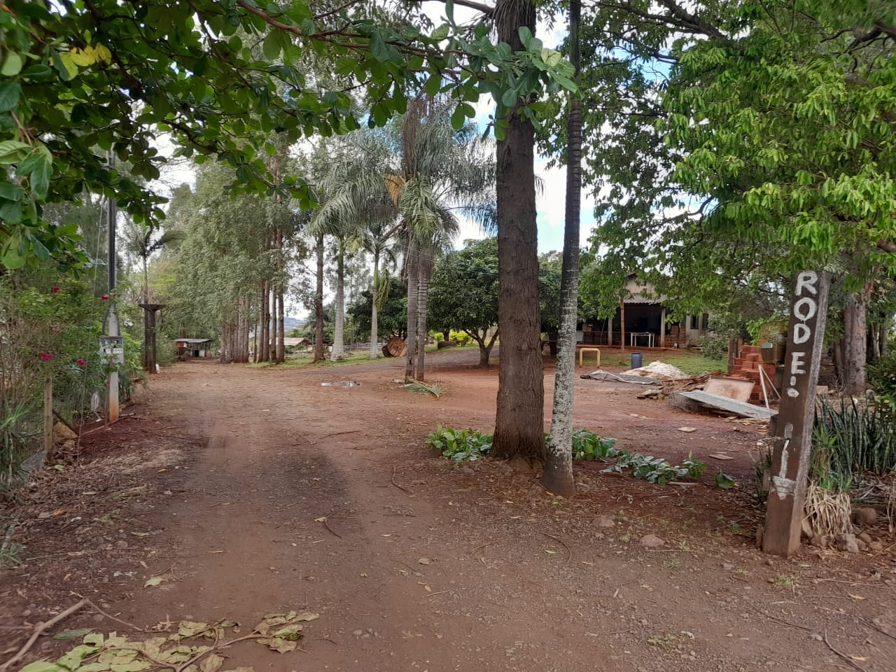 Sítio, 3 quartos, 8000 m² - Foto 5